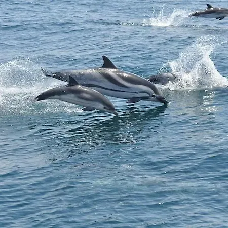 Luxury With Cinemaroom 600 Mtr From The * Fuengirola